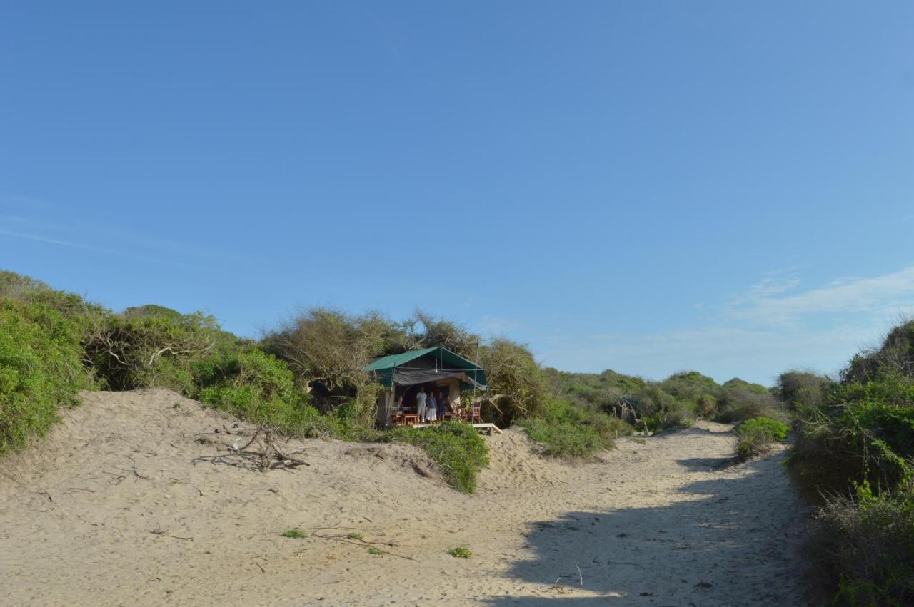 Back Of Beyond Dune Camp ยาลา ภายนอก รูปภาพ